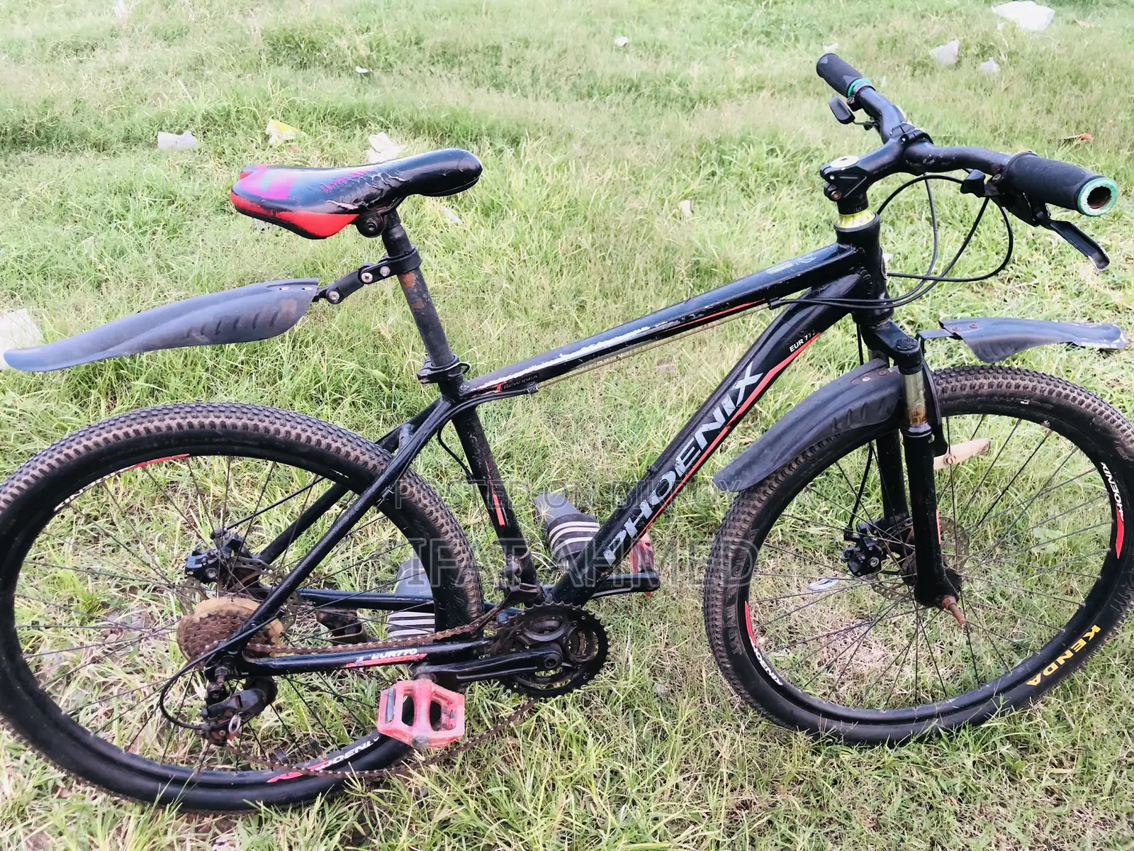 Phonix Cycle