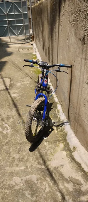 Hero Company Bicycle.