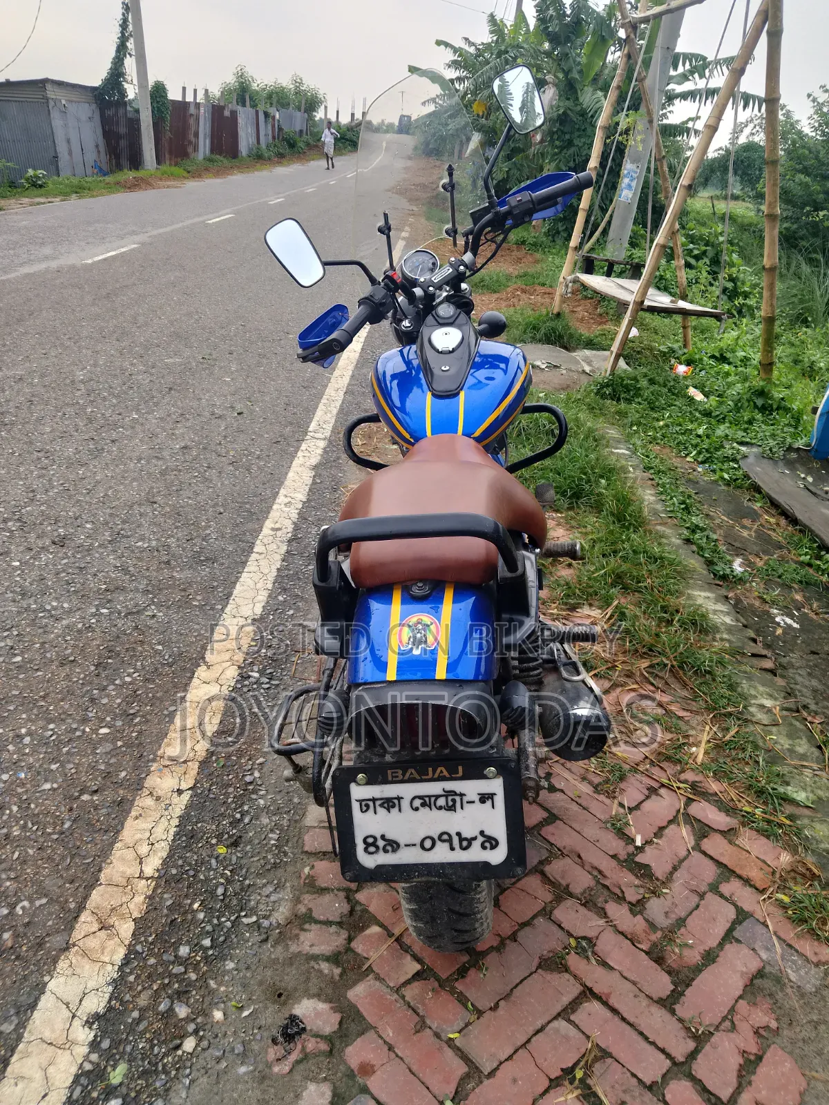 Bajaj Avenger 150 Street 2019 Blue