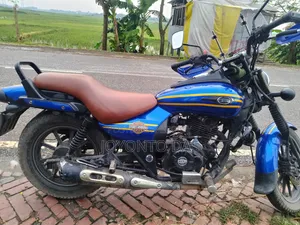 Bajaj Avenger 150 Street 2019 Blue