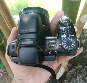 Model - Sony6400