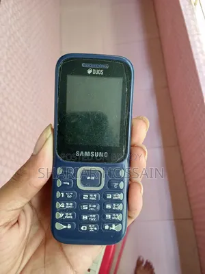 স্যামসাং গুরু মিউজিক ২ নীল