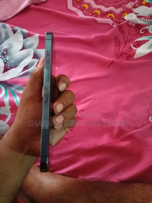 Apple iPhone 12 Pro Max 256 GB Gray