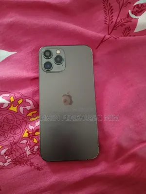 Apple iPhone 12 Pro Max 256 GB Gray