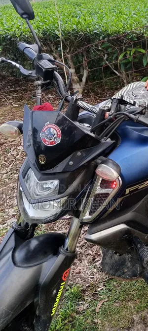 Yamaha FZ 2020 Blue