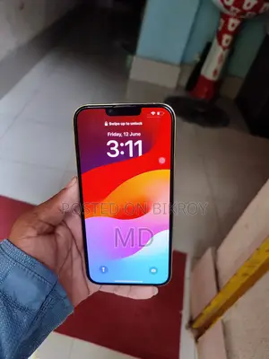 Apple iPhone 13 Pro Max ২৫৬ জিবি গোল্ড