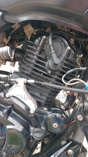 Bajaj Pulsar 150 2022 Black