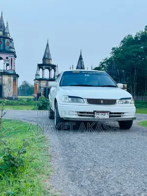 Toyota Corolla Hatchback 2000 White
