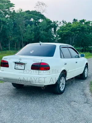 Toyota Corolla Hatchback 2000 White