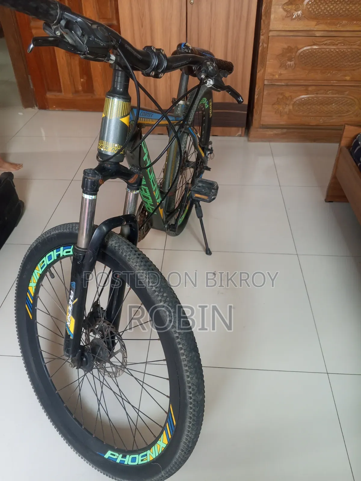Phoenix Mountain Bike