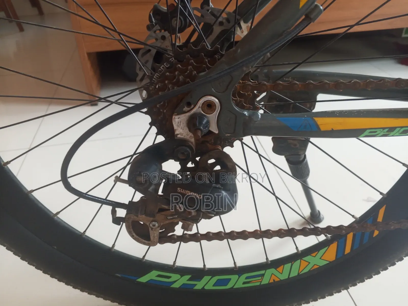 Phoenix Mountain Bike