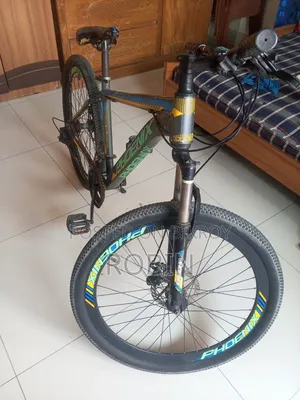 Phoenix Mountain Bike