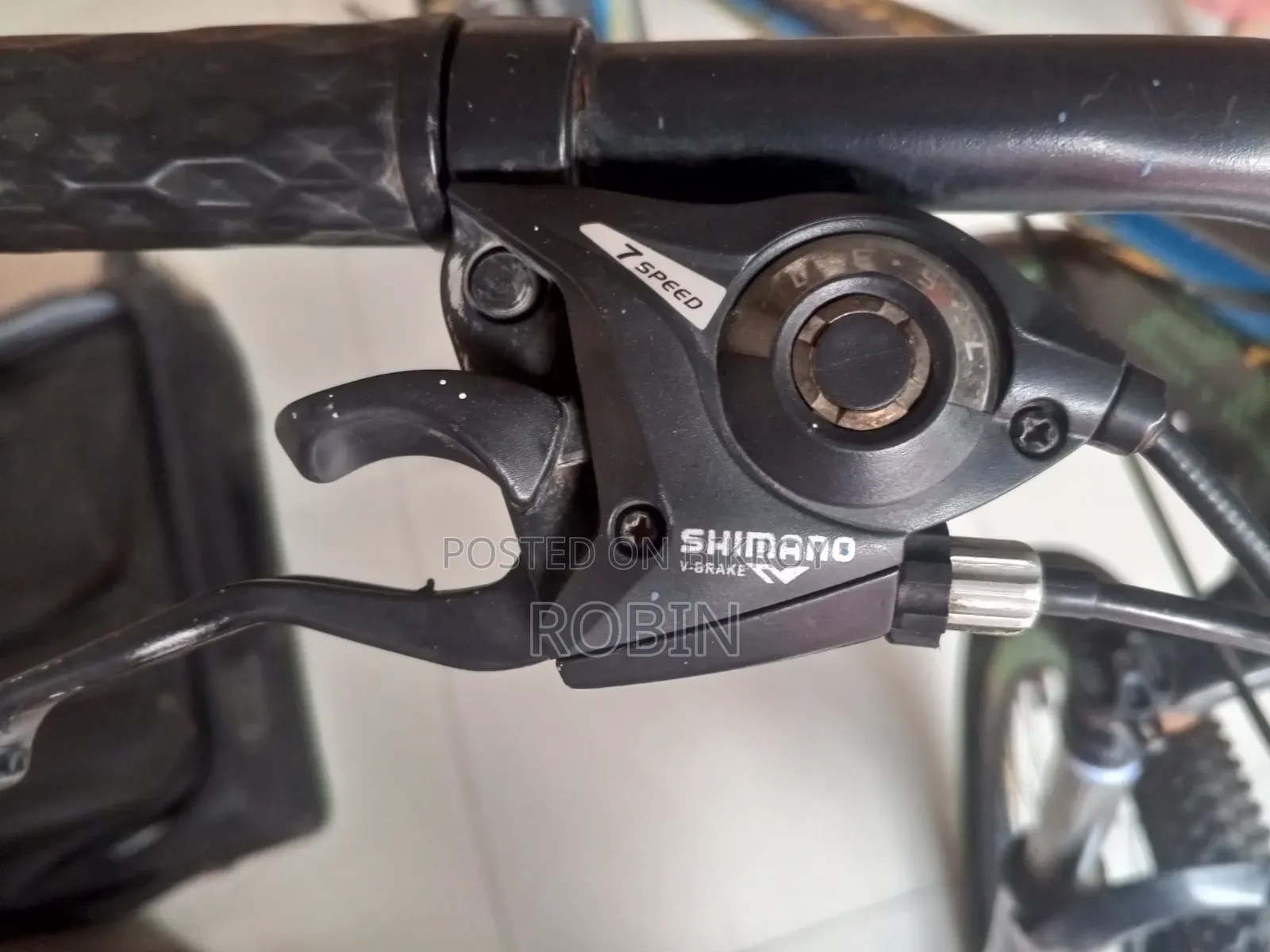Phoenix Mountain Bike