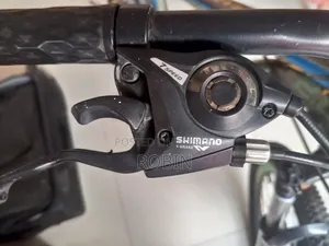 Phoenix Mountain Bike