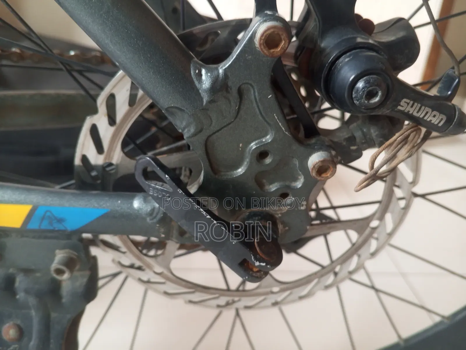 Phoenix Mountain Bike