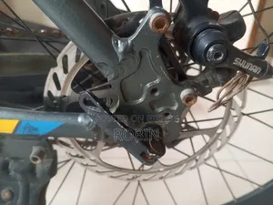 Phoenix Mountain Bike