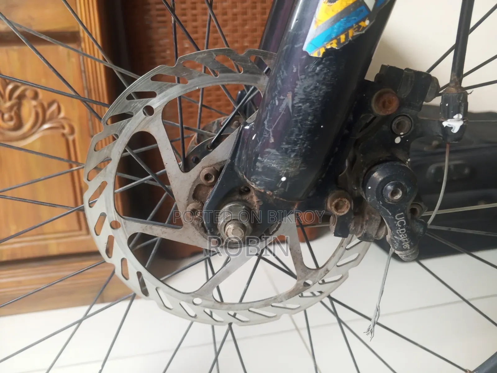 Phoenix Mountain Bike