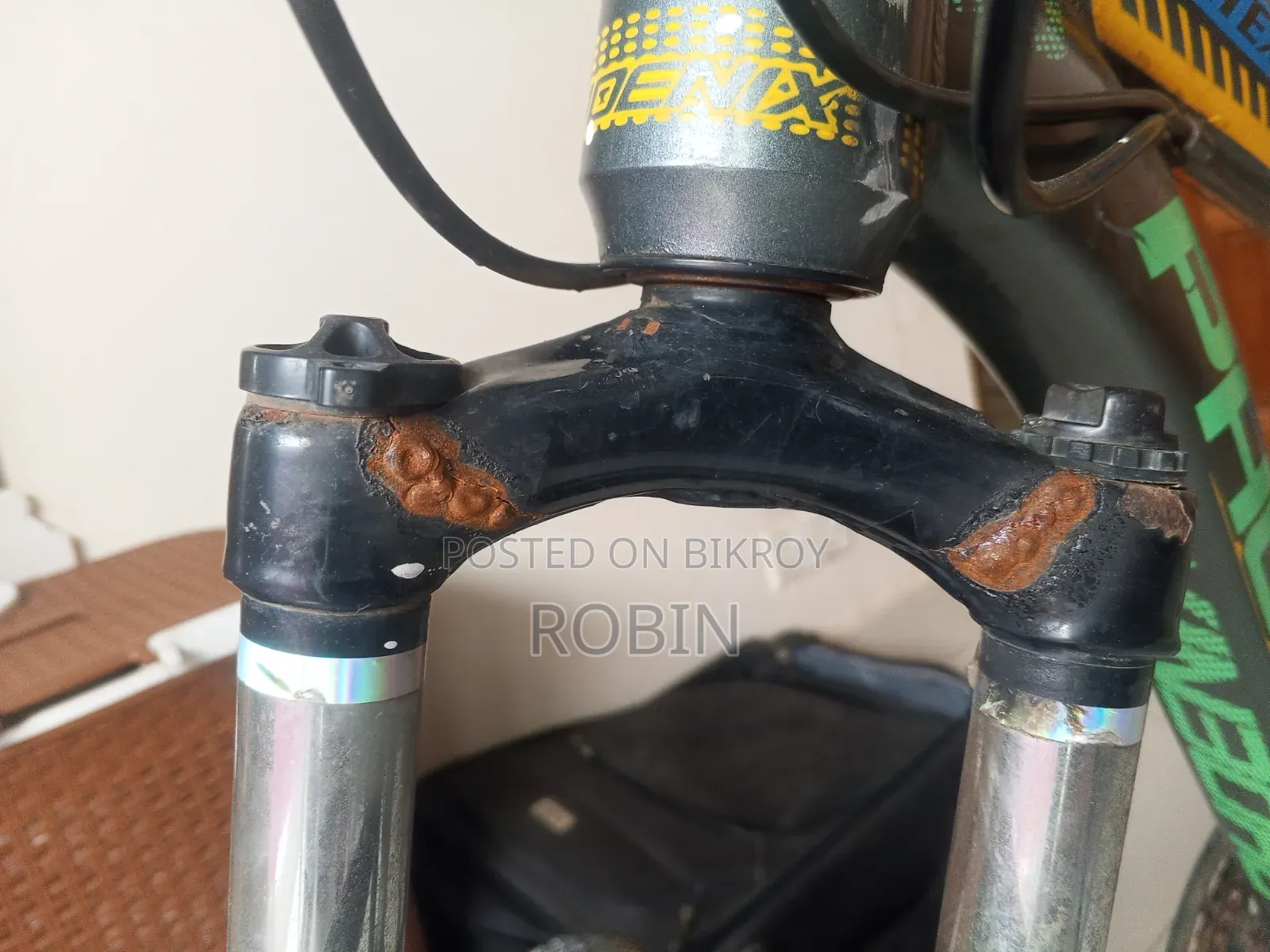 Phoenix Mountain Bike