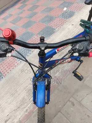 Duranta Cycle