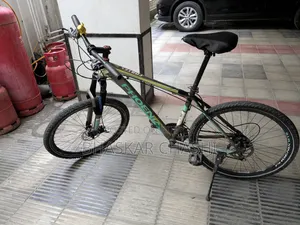 Phoenix Alloy Bicycle