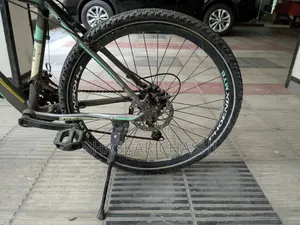 Phoenix Alloy Bicycle