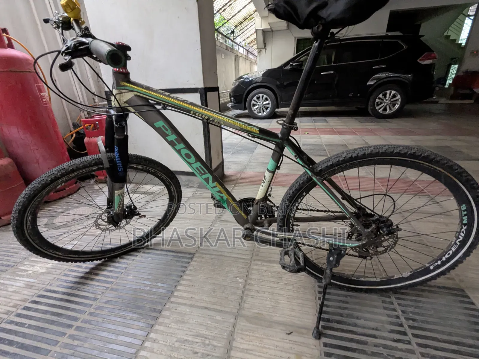 Phoenix Alloy Bicycle