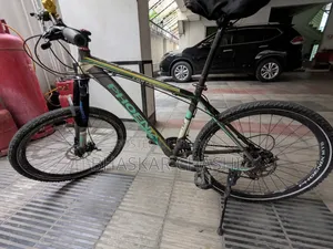 Phoenix Alloy Bicycle
