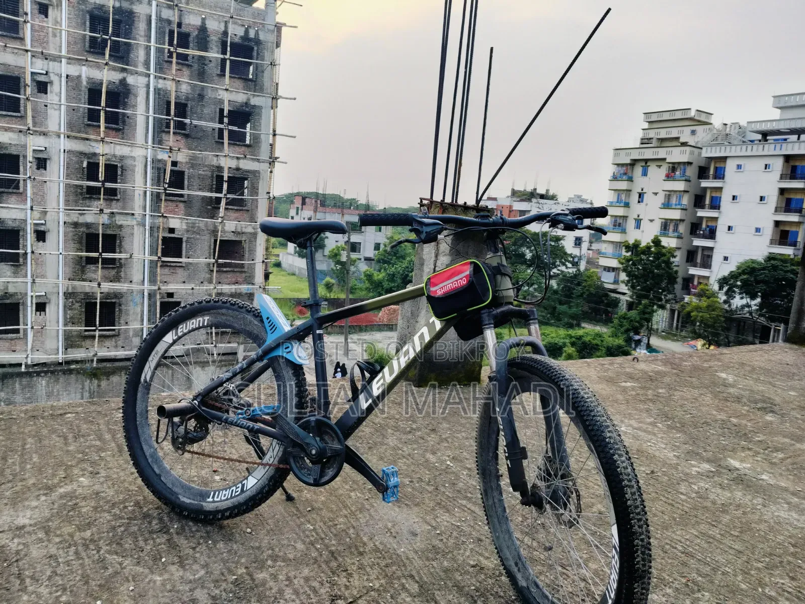 Leuant Cycle for Sell, Cycle