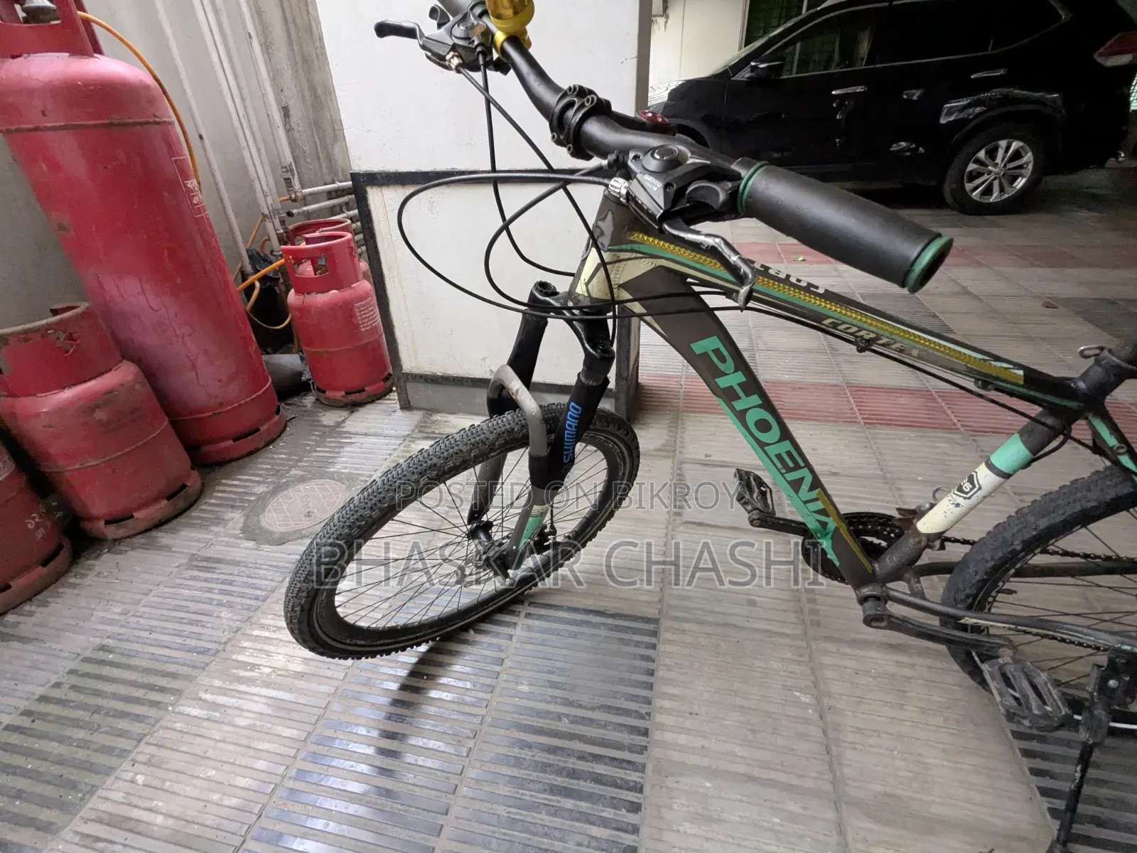 Phoenix Alloy Bicycle