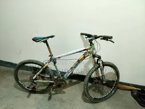 Phonix Cycle
