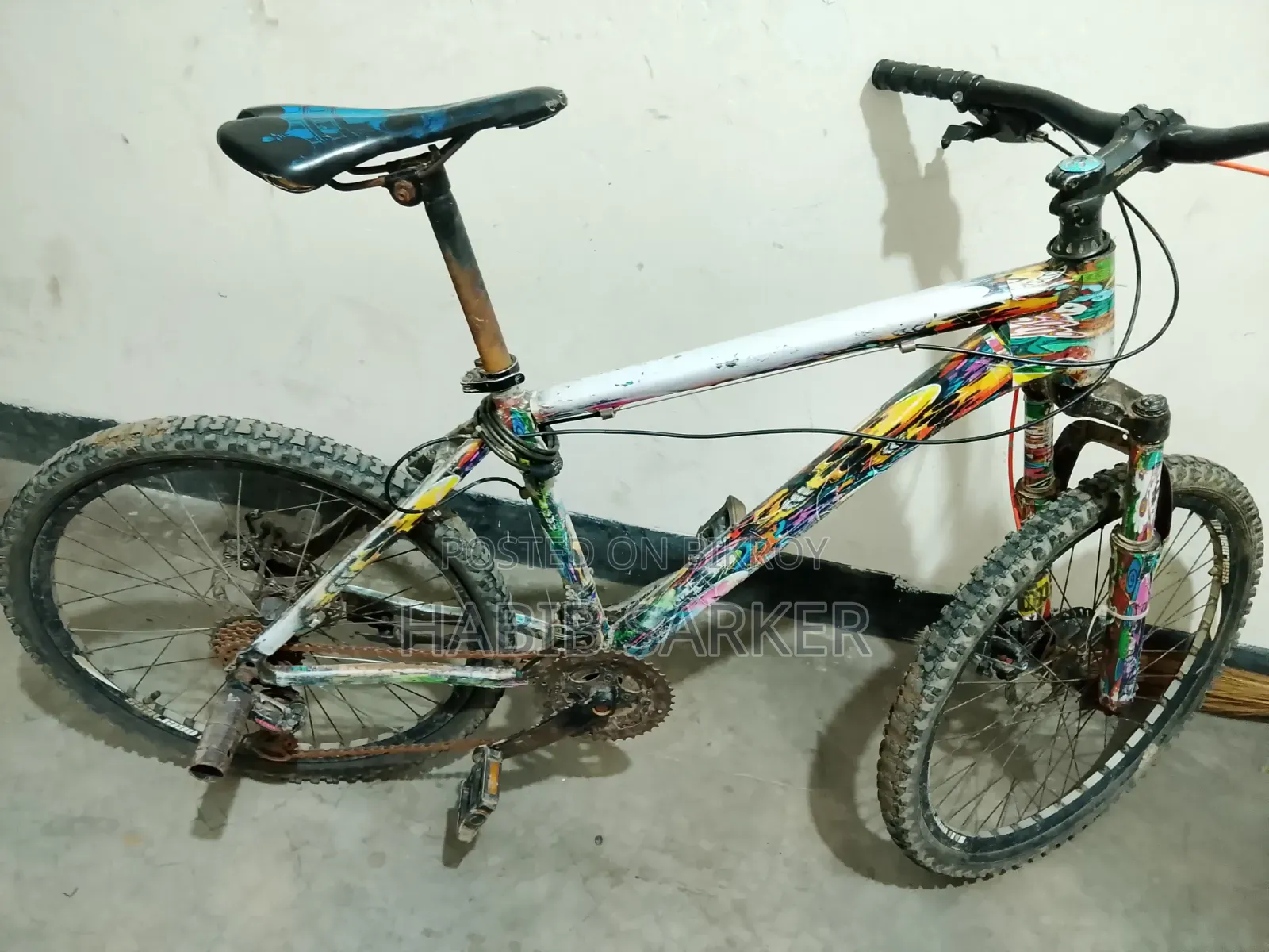 Phonix Cycle