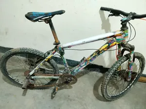 Phonix Cycle