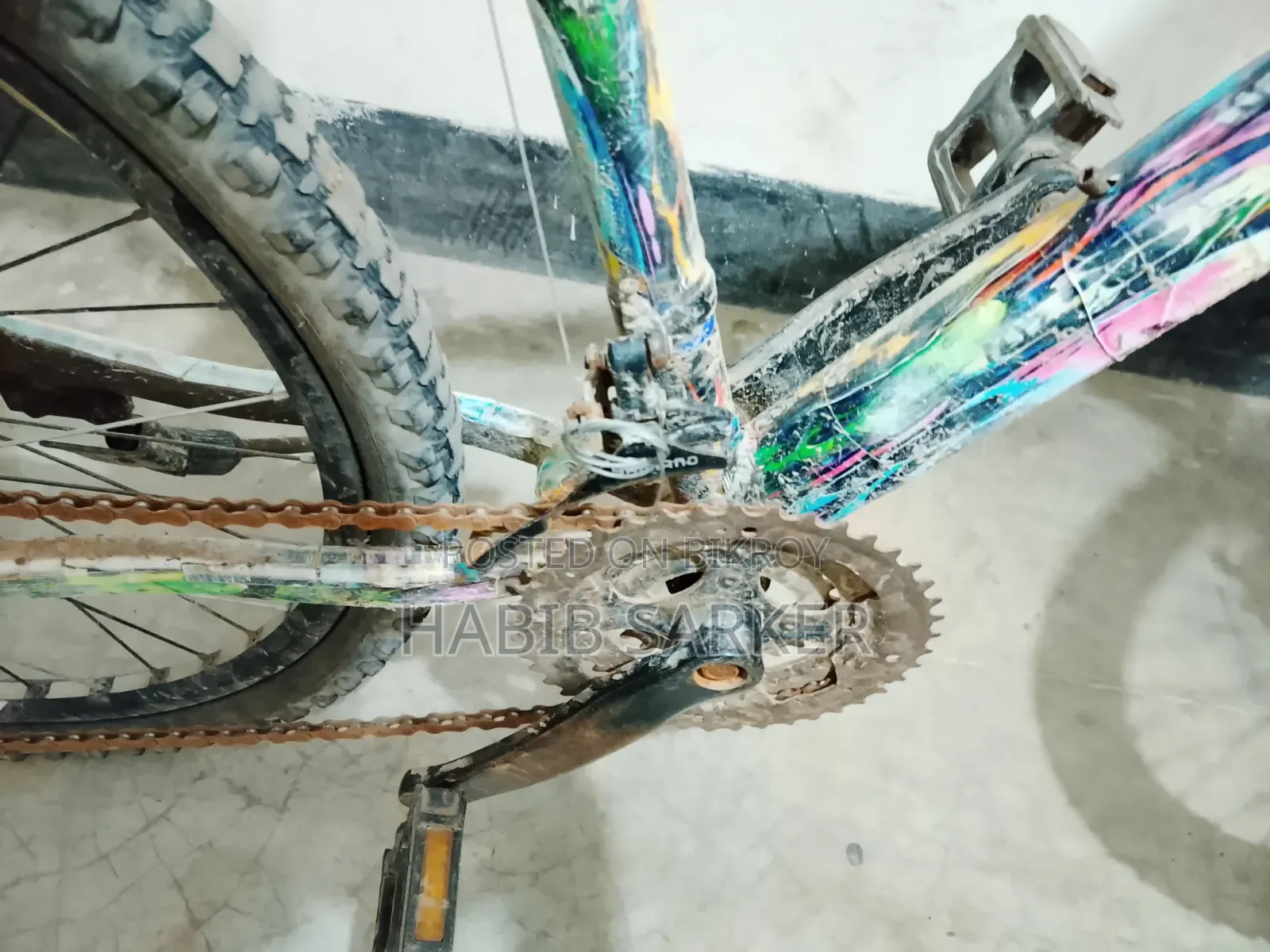 Phonix Cycle