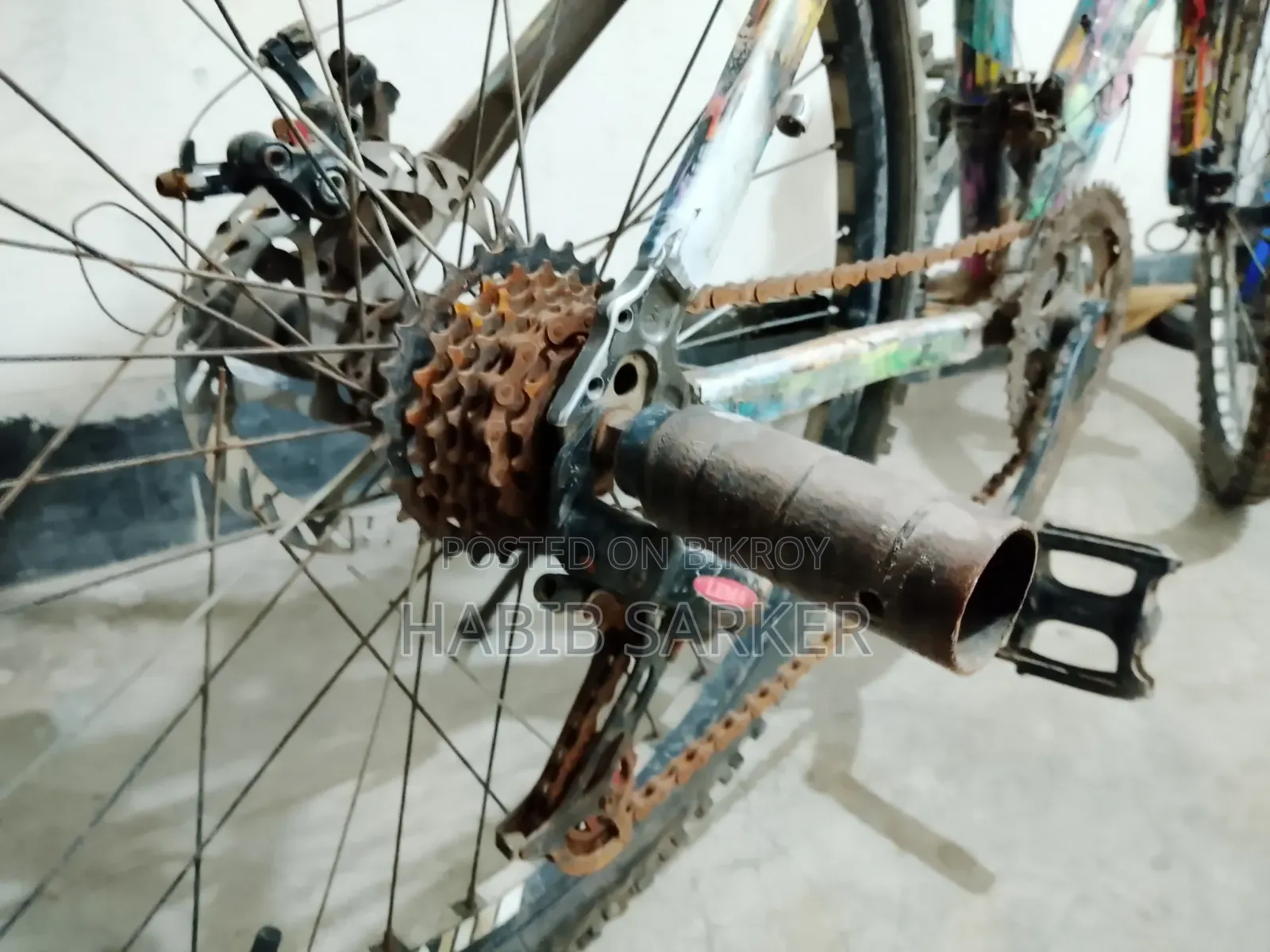Phonix Cycle