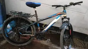 Phoenix Raptor Cycle