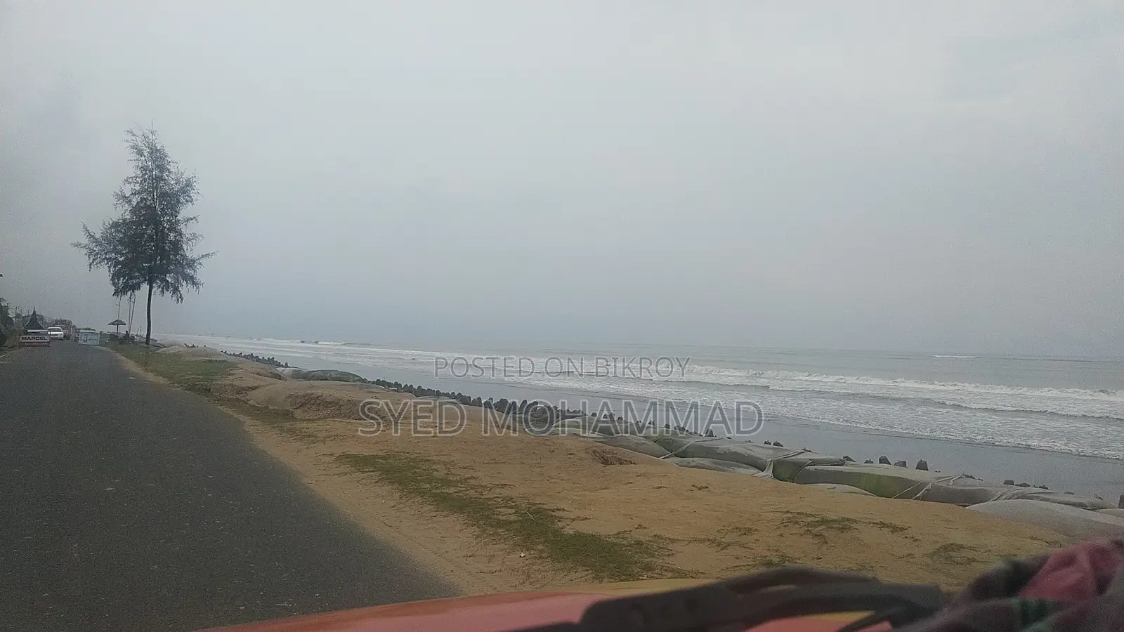 Nissan Bluebird Sylphy 2004 Gold