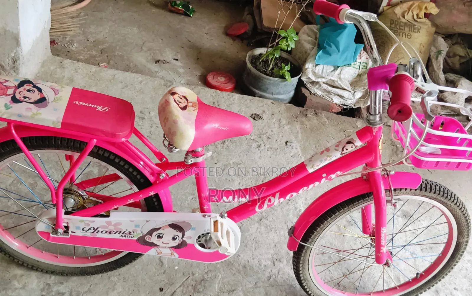 Phoenix Cycle