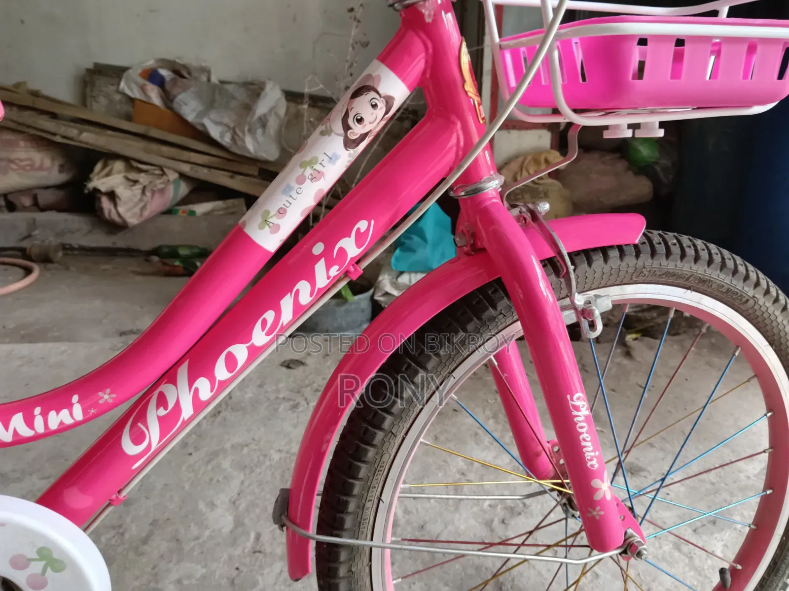 Phoenix Cycle