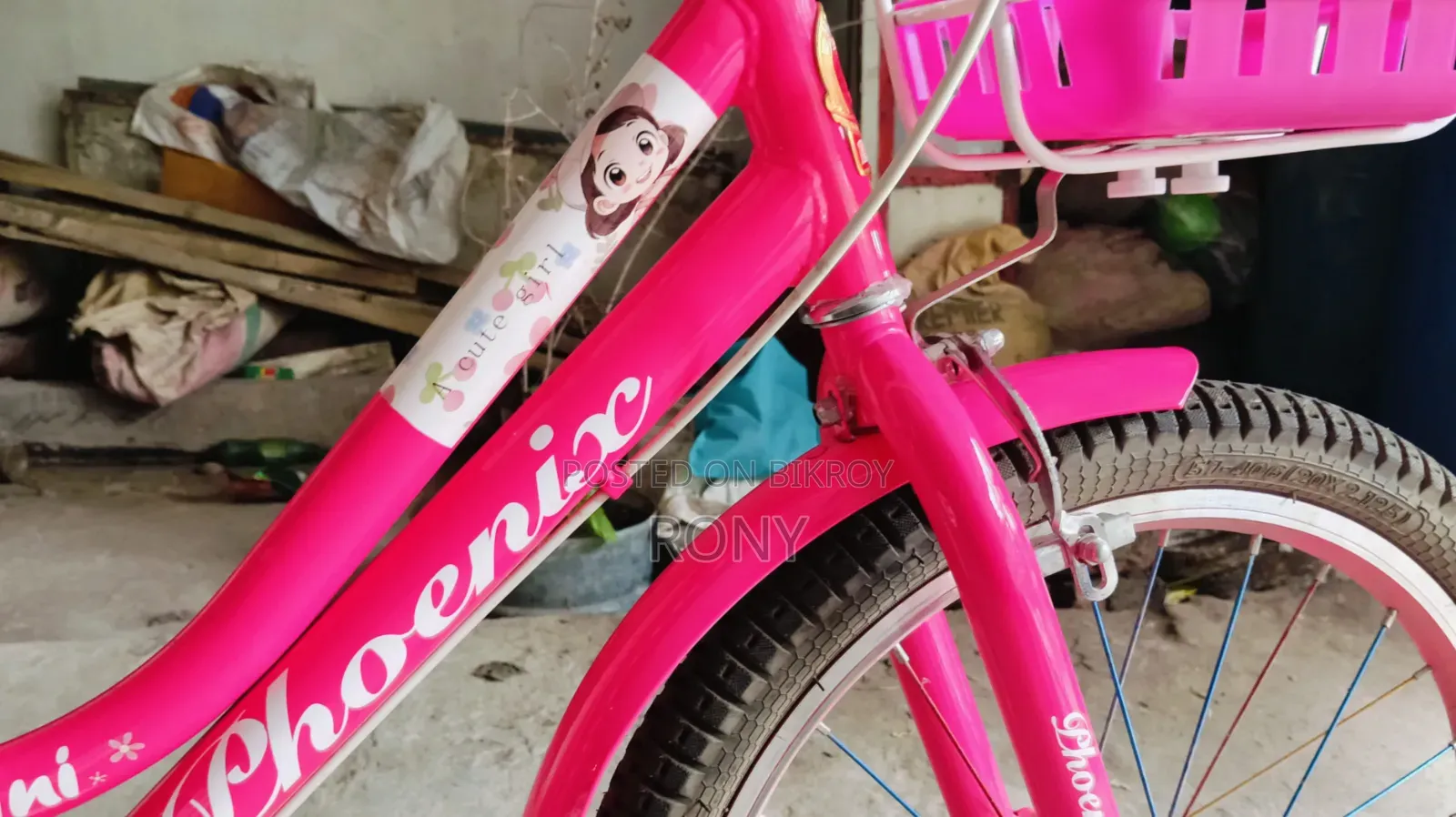 Phoenix Cycle
