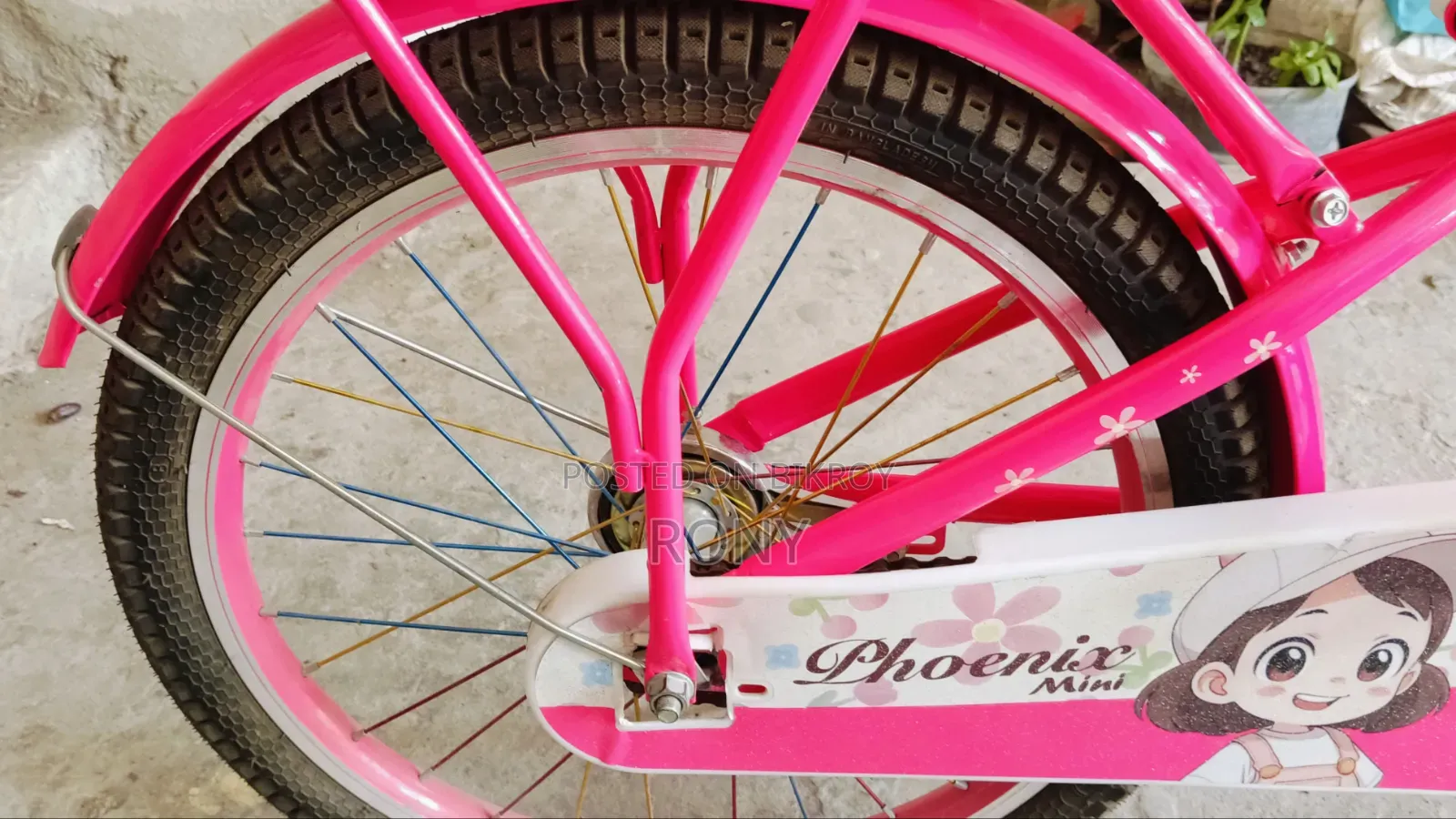 Phoenix Cycle