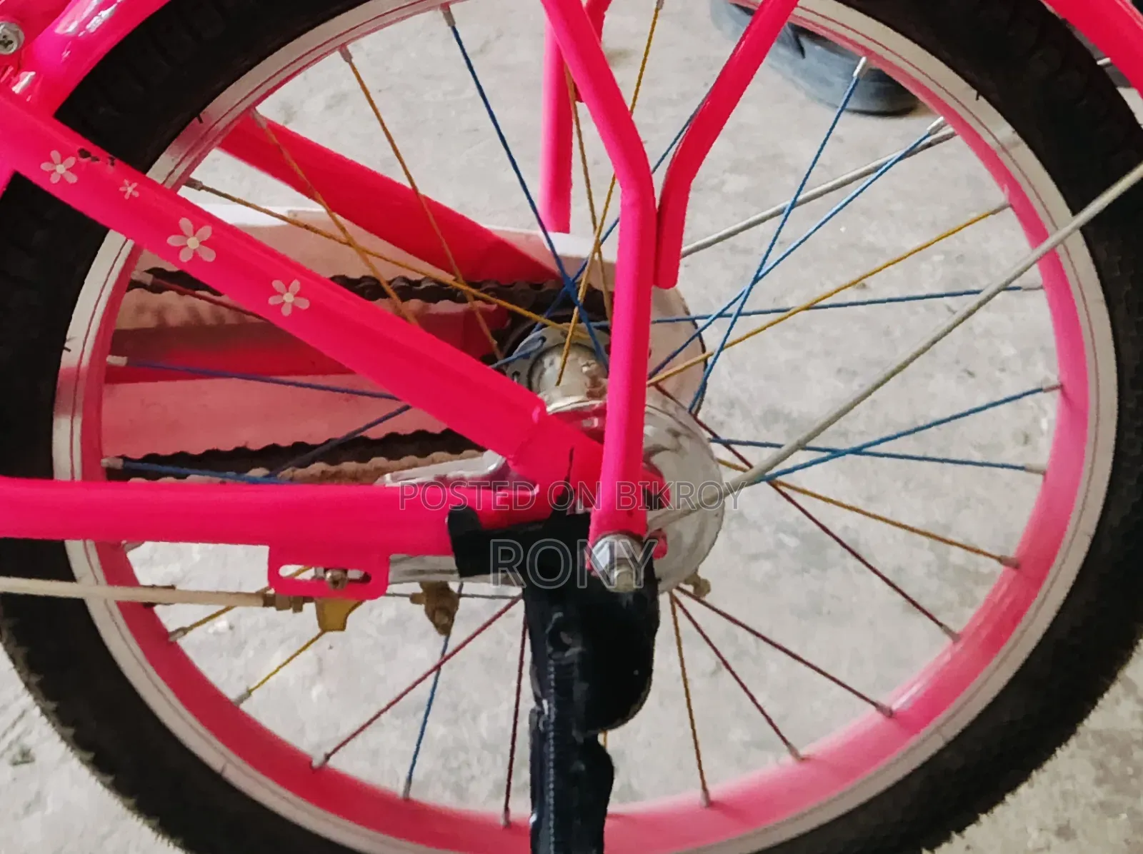 Phoenix Cycle