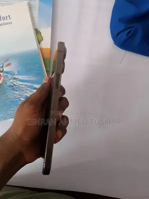 Apple iPhone 13 Pro Max ১২৮ জিবি সিলভার