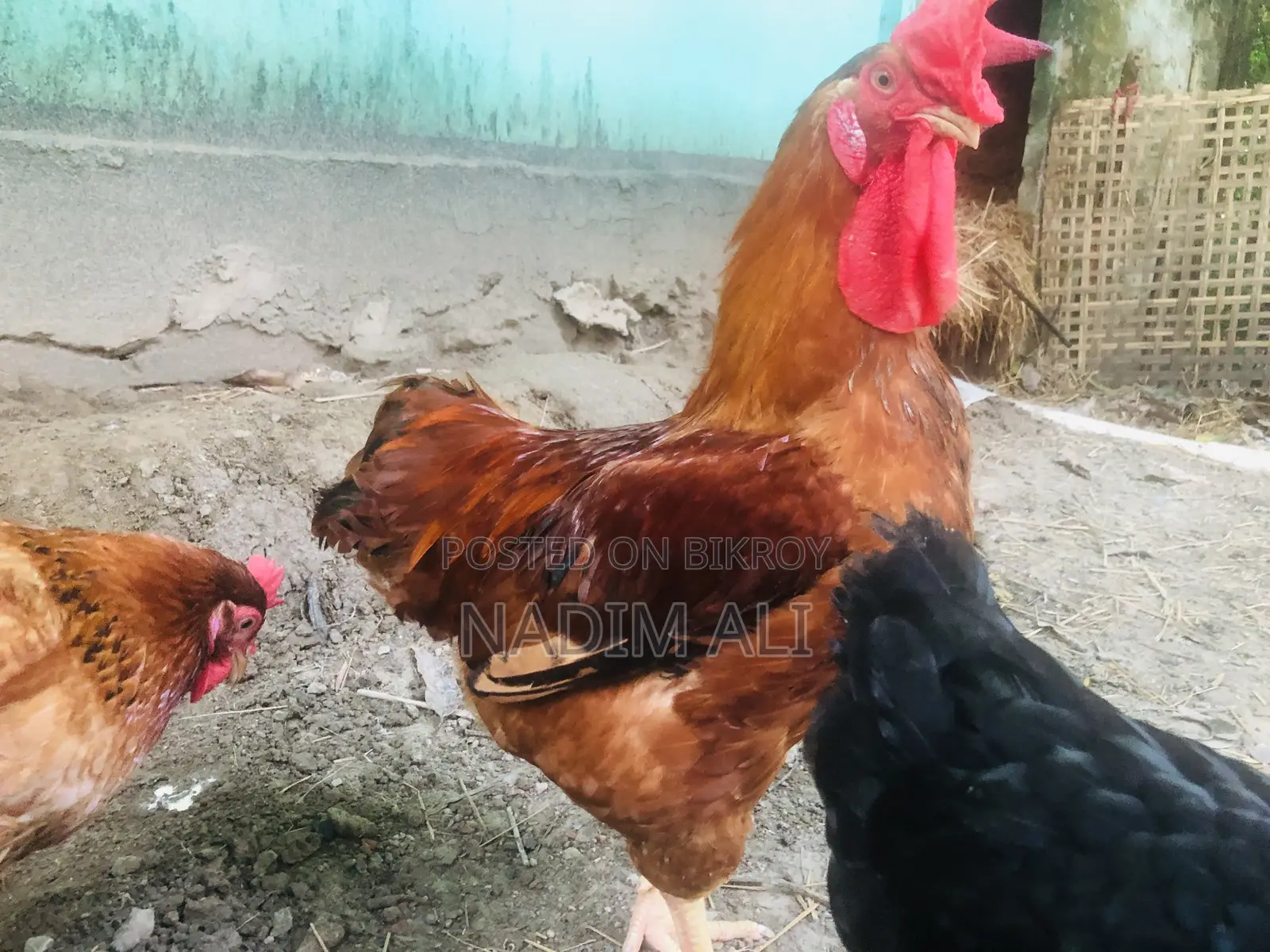 Original Tiger Chicken