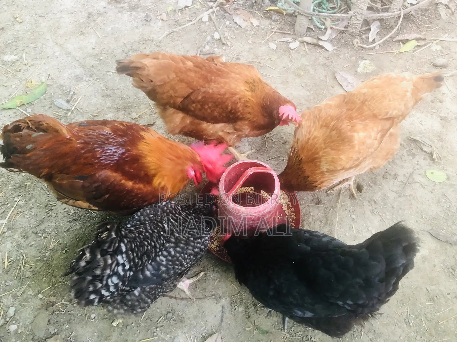 Original Tiger Chicken