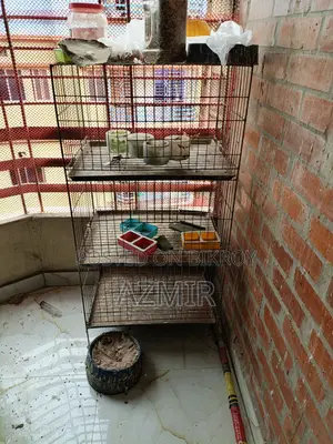3-Compartment Pigeon Cage