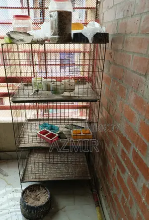 3-Compartment Pigeon Cage