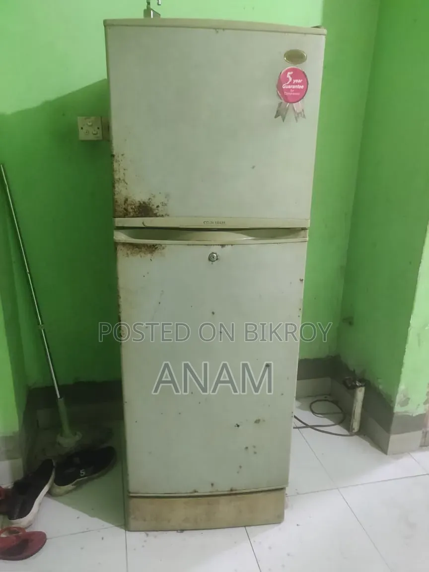 Samsung Fridge