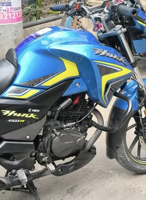 হিরো হাঙ্ক ২০২৪ নীল
