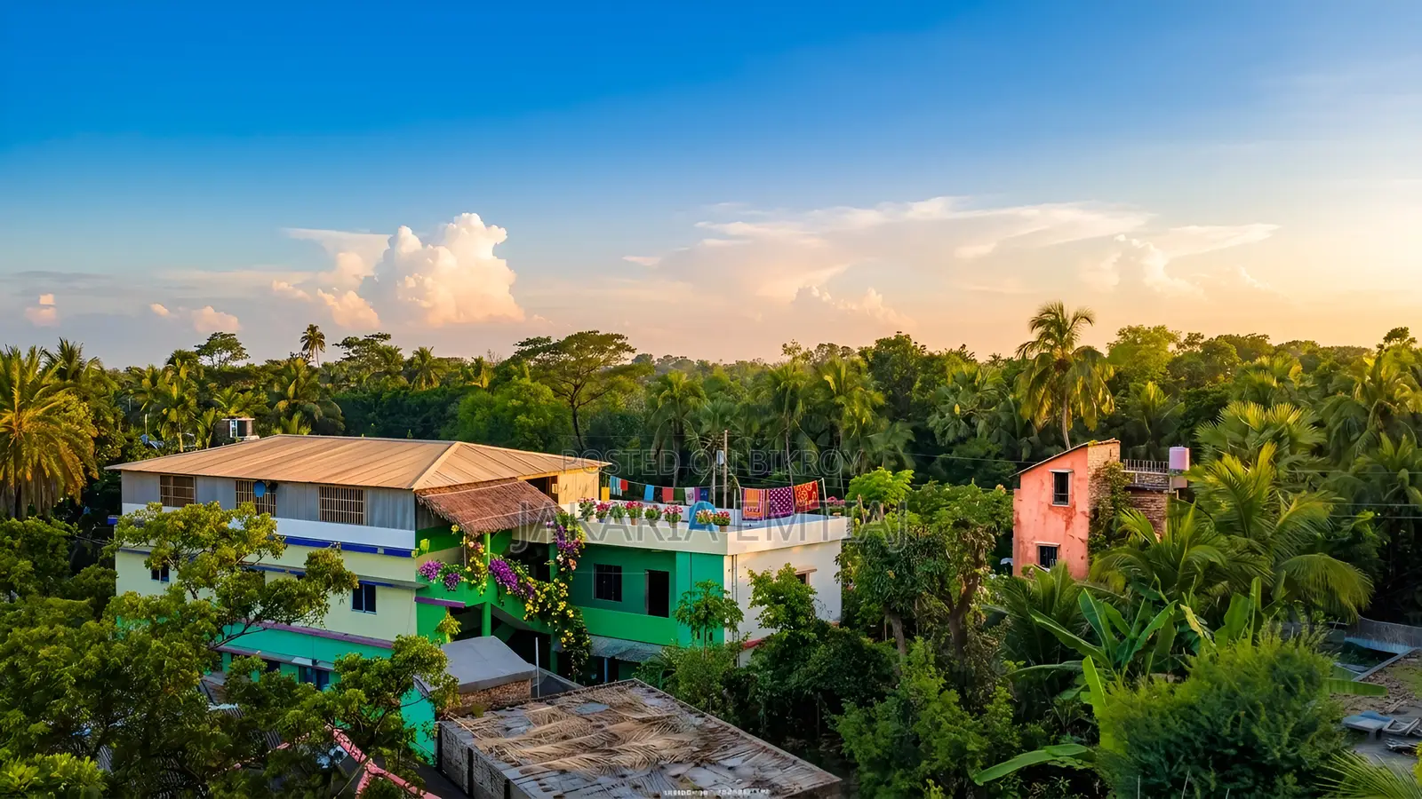 ডিজিআই মিনি ড্রোন