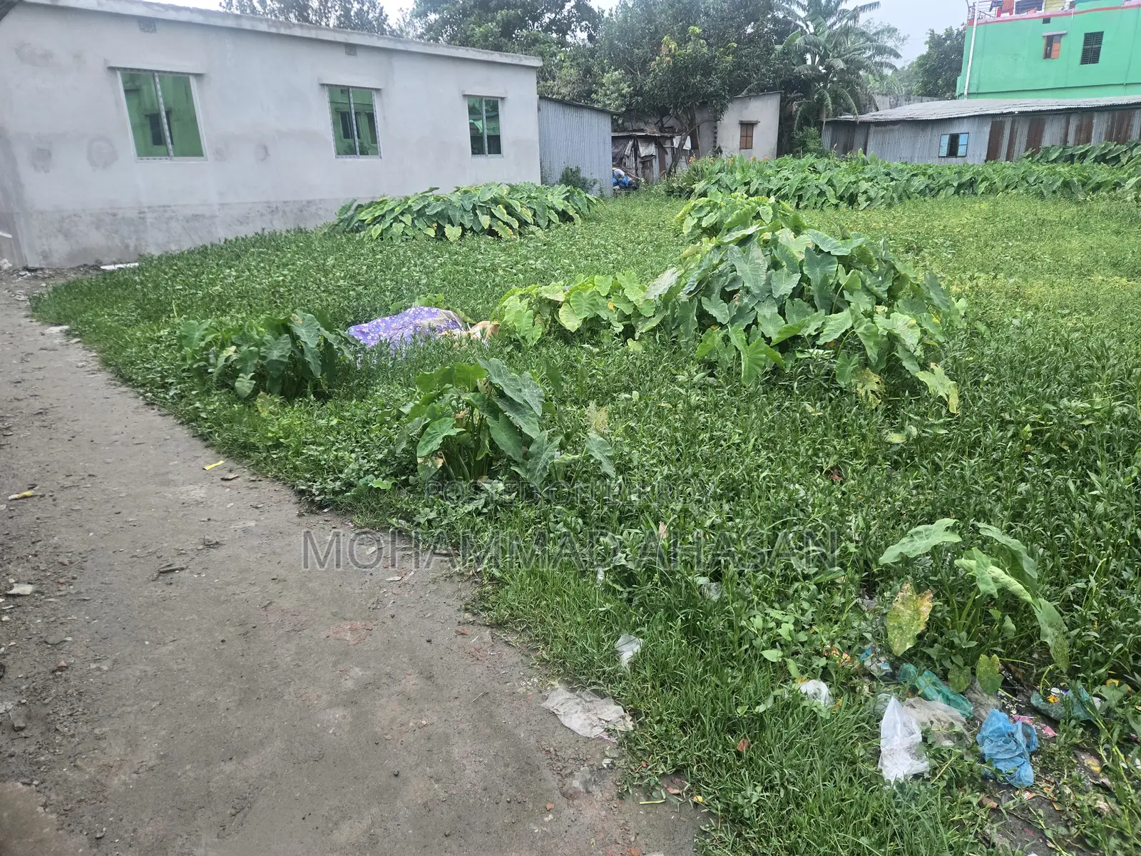 Land for Sale